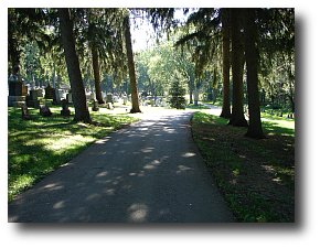 Cemetary Path with Trees